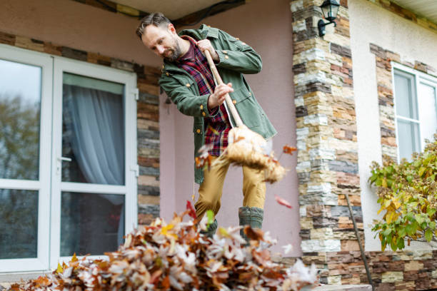 istock Adult man sweeping leaves from porch using broom 1436203775