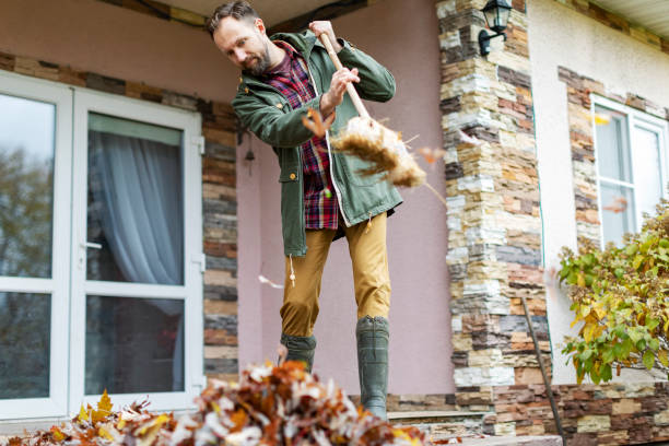 istock Adult man sweeping leaves from porch using broom 1436203928