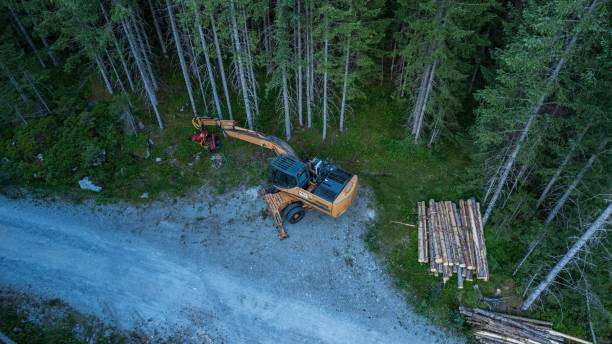 istock Aerial view of the forest cutting 1436203932