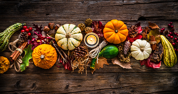 Fall autumn harvest thanksgiving concept. Organic fresh ripe festive vegetables, pumpkins, green thyme and purple flowers on a rustic wooden table