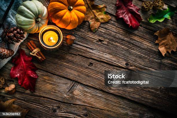 Autumn Or Thanksgiving Decoration Copy Space Stock Photo - Download Image Now - Above, Acorn, At The Edge Of