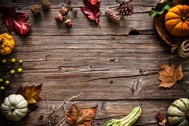 Autumn or Thanksgiving decoration frame. Flat lay. Copy space