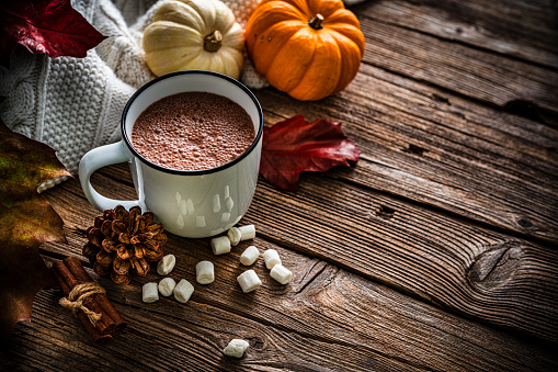 Autumn backgrounds: high angle view of hot chocolate mug, gourds and dry leaves shot on rustic wooden table. The composition is at the left of an horizontal frame leaving useful copy space for text and/or logo at the right. High resolution 42Mp studio digital capture taken with SONY A7rII and Zeiss Batis 40mm F2.0 CF lens