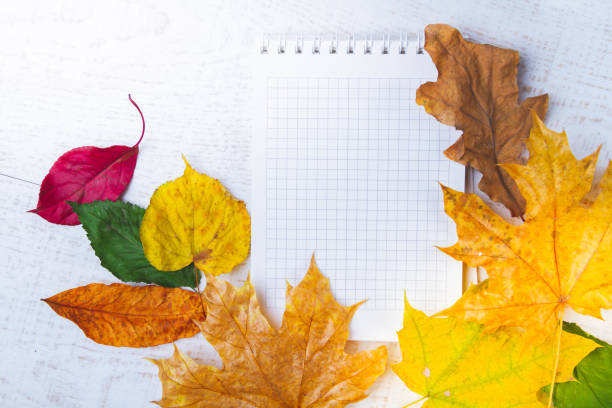 istock Blank sheet of notebook for entries in autumn leaves. Writing pen and notepad. 1436209133