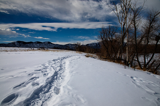 Numerous foot prints on snow covered field with mountains and blue sky with cirrus clouds