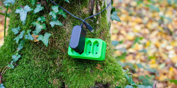 istock Green electricity socket on a tree trunk, substainable renewable energy, csr concept, environment protection, eco technology 1436212109