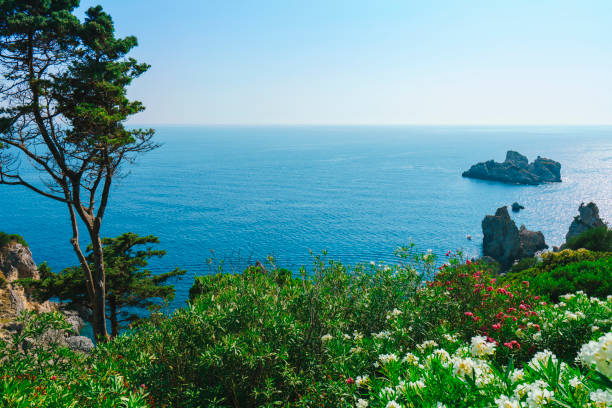 Alanya Turkey; March 16, 2024: Sky for background, clear sky. Bright blue sky and light of the sun. Beautiful landscape