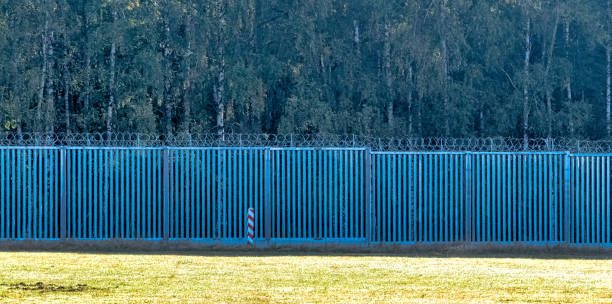 istock Poland Belarus border wall in Bialowieza Forest, Poland 1436216317