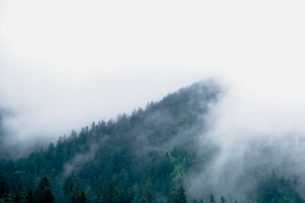istock Mysterious mountains in the fog. Soft focus. 1436218599