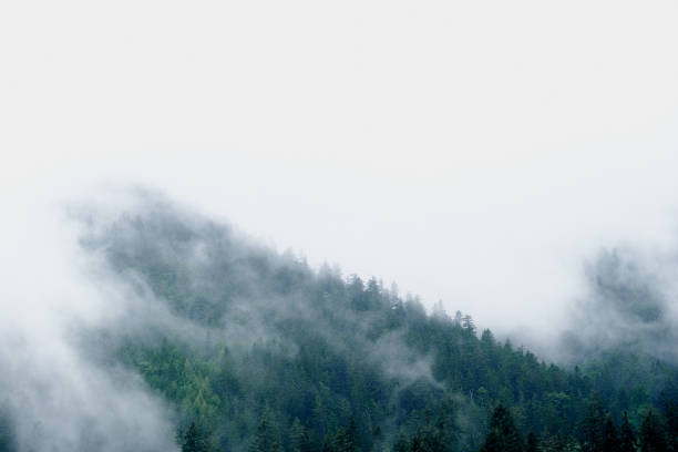 istock Mysterious mountains in the fog. Soft focus. 1436218601