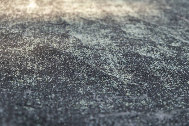 istock The texture an old black roofing material . Gray texture background with moss close-up. 1436219372