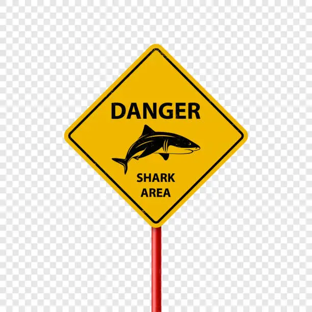 Vector illustration of Vector Yellow Shark Sighting Sign Isolated. Shark Attack Warning. Danger for Surfing and Swimming. Shark Zone, Area, Caution