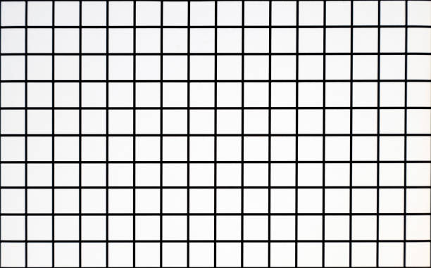 istock White cell background with intersecting black lines. Black and white cell. Black metal mesh texture isolated on white background. White cell background. 1436224839