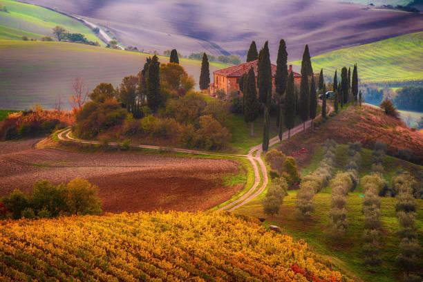 lever de soleil en italie - tuscany landscape italy siena photos et images de collection