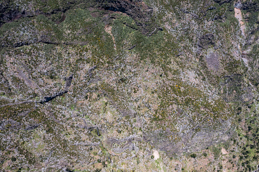 Aerial view of the mosaic made of trees, bushes, rocks among which there is a waterfall, a sunny day in the Madeira mountains.