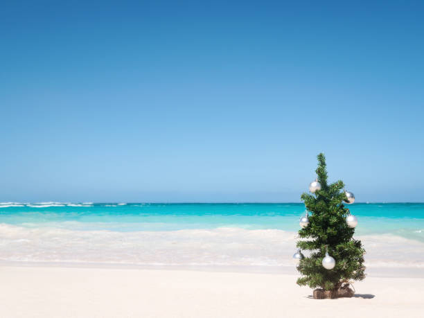 istock Christmas fir tree on sandy beach. Tropical New year celebration 1436249394