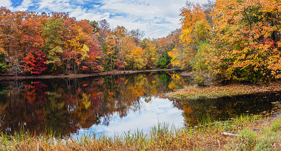 A panoramic view of the Autumn leaves reflecting on the pond in Allaire State Park in New Jersey.