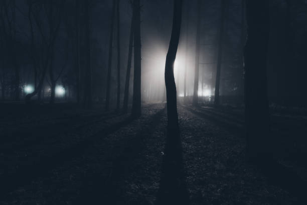 istock City park at night in fog 1436253381