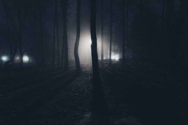 istock City park at night in fog 1436253382