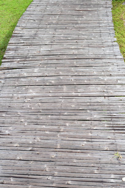 istock Walkway with fresh lawn grass. Beautiful green garden 1436253505
