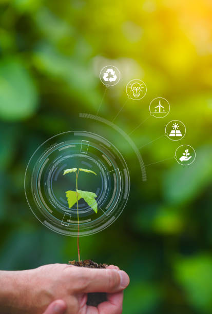 istock Hands holding a seedling, modern agriculture with technology and ecology concept 1436256384
