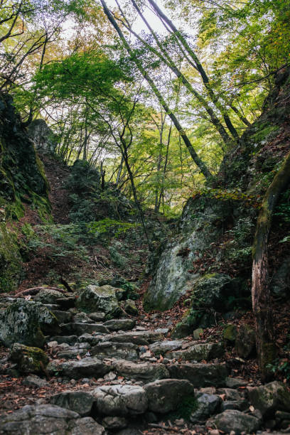 istock Japanese rock garden 1436263274