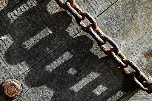 A rusted chain and its shadow on a piece of weathered wood.