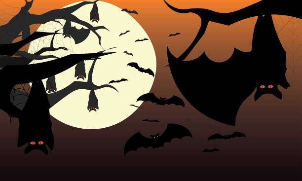 ilustraciones, imágenes clip art, dibujos animados e iconos de stock de fondo de halloween con murciélago, rama y cielo - bat moon outdoors nature