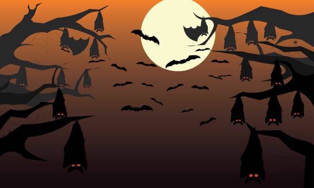 ilustraciones, imágenes clip art, dibujos animados e iconos de stock de fondo de halloween con murciélago, rama y cielo - bat moon outdoors nature