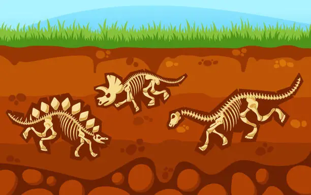 Vector illustration of Soil Layer With Dinosaur Skeletons, Dead Animals Inside Of Earth Underground Surface With Prehistoric Reptile Bones