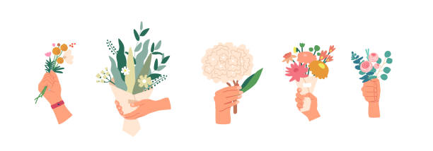 illustrations, cliparts, dessins animés et icônes de ensemble de mains masculines donnant des bouquets de fleurs isolés sur fond blanc. cadeau pour les vacances, homme avec des fleurs, romance - flower parade