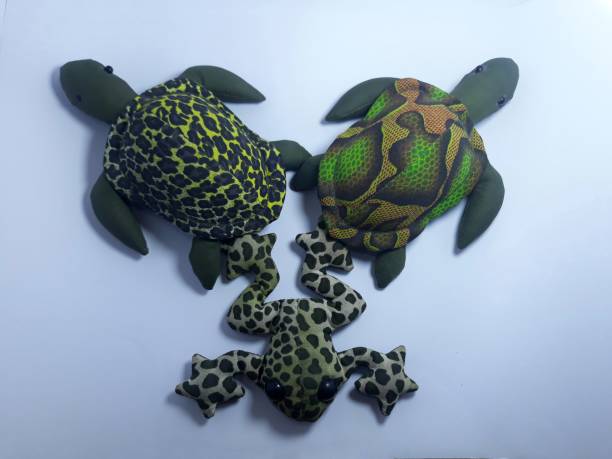 isolé sur grenouilles artificielles blanches et tortue pour des jouets ou des décorations ou des cadeaux - rubber dart photos et images de collection