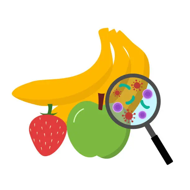 Vector illustration of Bacteria germs on fruits in flat design on white background.