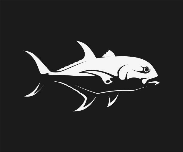 ilustrações, clipart, desenhos animados e ícones de silhueta de peixe jack - fishing fishing industry sea fish