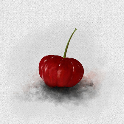 Red cherry watercolor digital painting