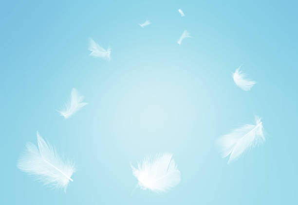 istock White feathers floating in the sky with sunlight pastel 1436309365