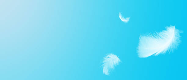 istock White feathers floating in the sky  blue pastel tone with sunlight. free space for add text or season 1436309913
