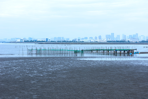 Tidal flats in Tokyo Bay in the morning with copy space.