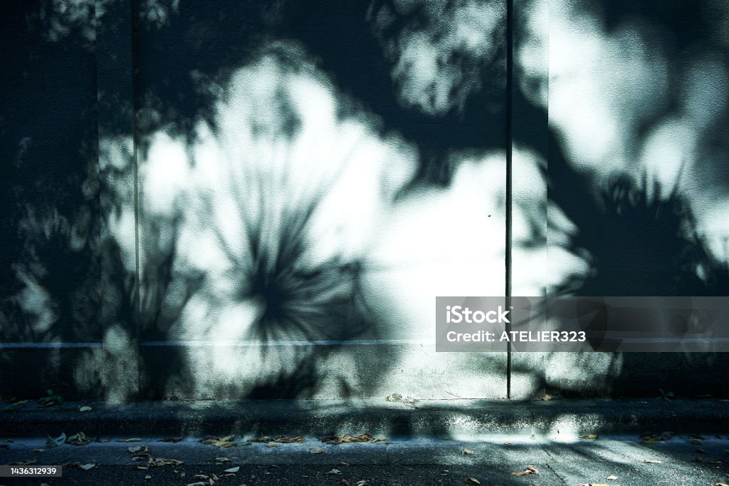Shadow picture Summer day shadow Abstract Stock Photo