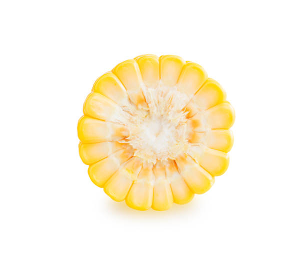 istock Sweet corn slice isolated on white background with clipping path 1436314025