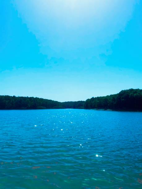Lake view in the forest