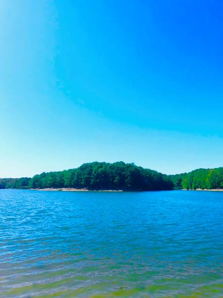 istock Lake view in the forest 1436316153