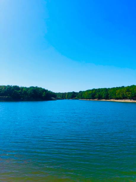 istock Lake view in the forest 1436316154