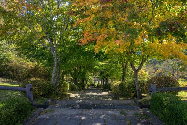 長野県の英明寺山公園の秋の風景、日本