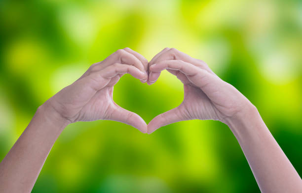 istock Hands making heart shape planting trees  the green bokeh background, loving the environment,protecting nature Nourishing the plants World Environment Day,Forest conservation concept. 1436319063