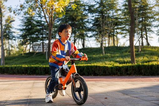 Asian boy riding a bike in the park