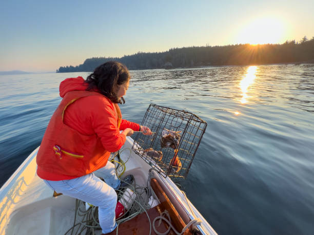 istock Mature Asian Woman Pulling Crab Trap with Crab, Sole, Bait 1436329355