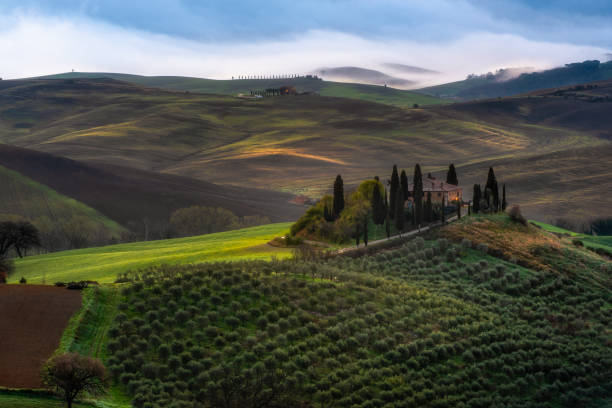istock Farmhouse in Tuscany 1436329551