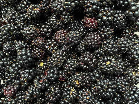 Stock photo showing a close-up, elevated background of fresh blackberry fruit.