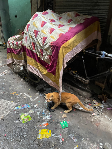 Front view of homeless men bed and an orange blanket. Belongings in the front.